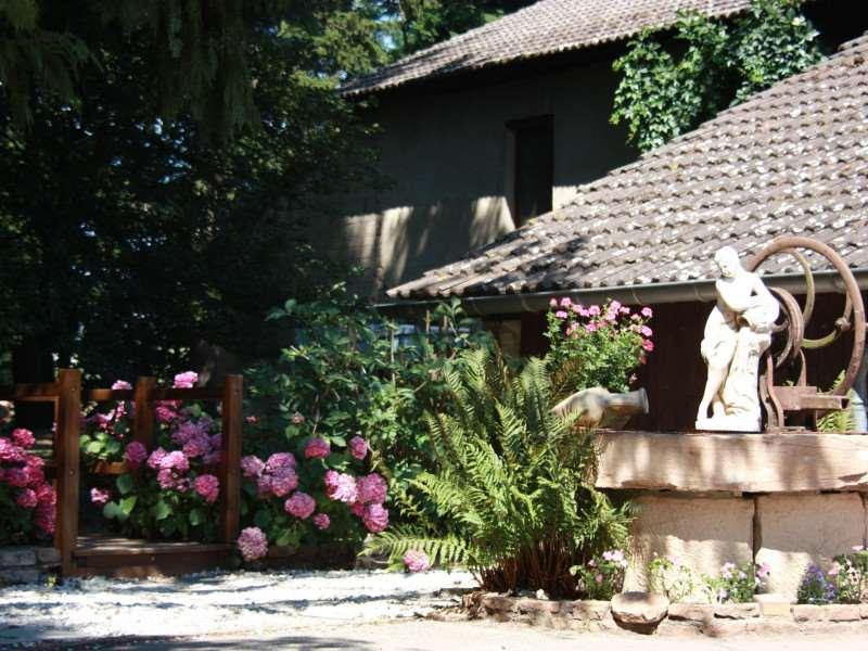 Hotel Du Moulin De La Brevette 3*